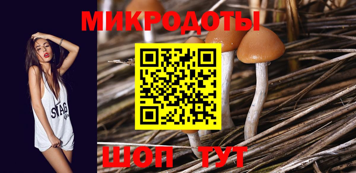Галлюциногенные грибы Psilocybine cubensis Елабуга